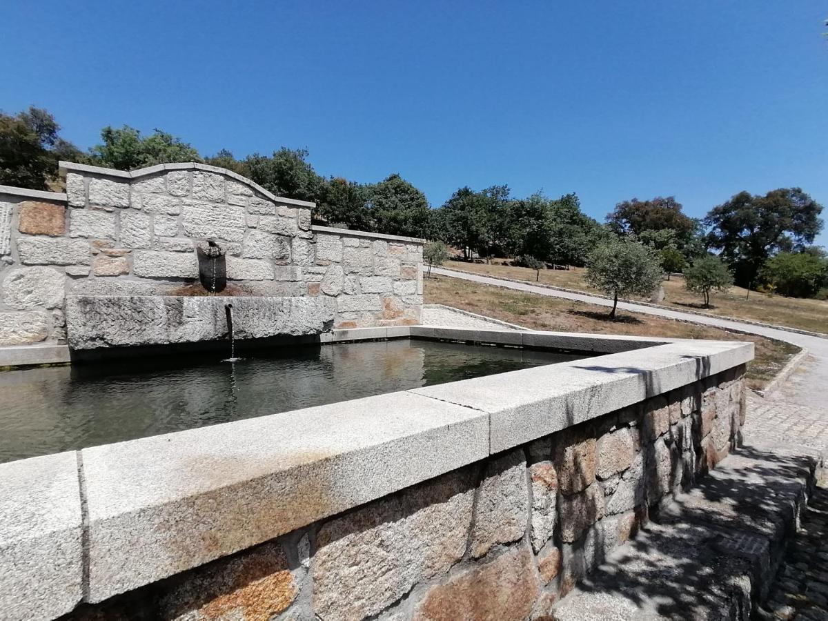 Lirios Da Granja - Casa De Campo Granja (Vila Real) Exterior foto