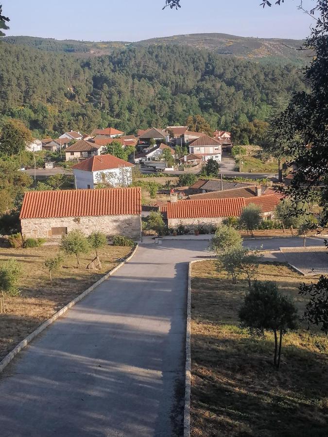 Lirios Da Granja - Casa De Campo Granja (Vila Real) Exterior foto