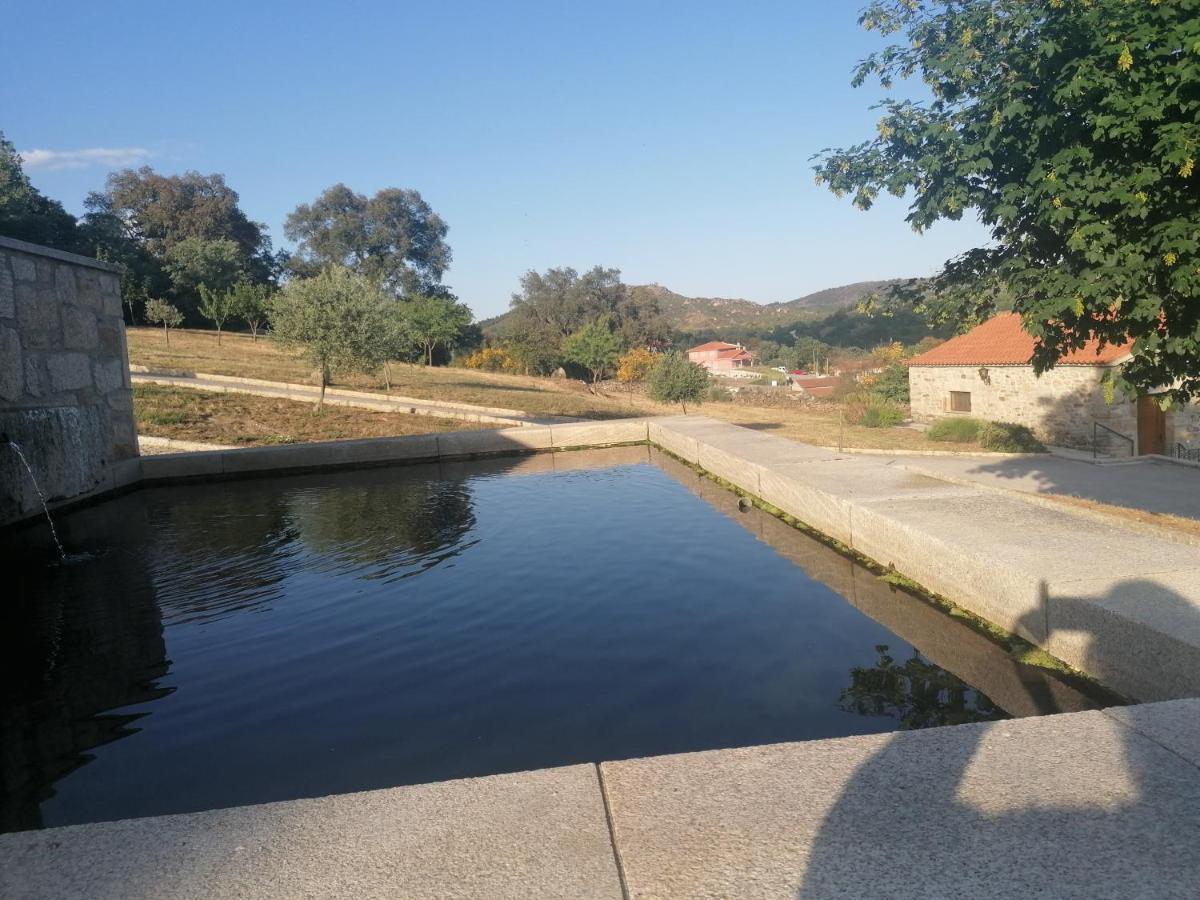 Lirios Da Granja - Casa De Campo Granja (Vila Real) Exterior foto